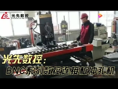 Μηχανή τρυπήματος πλάκας πρωτότυπη